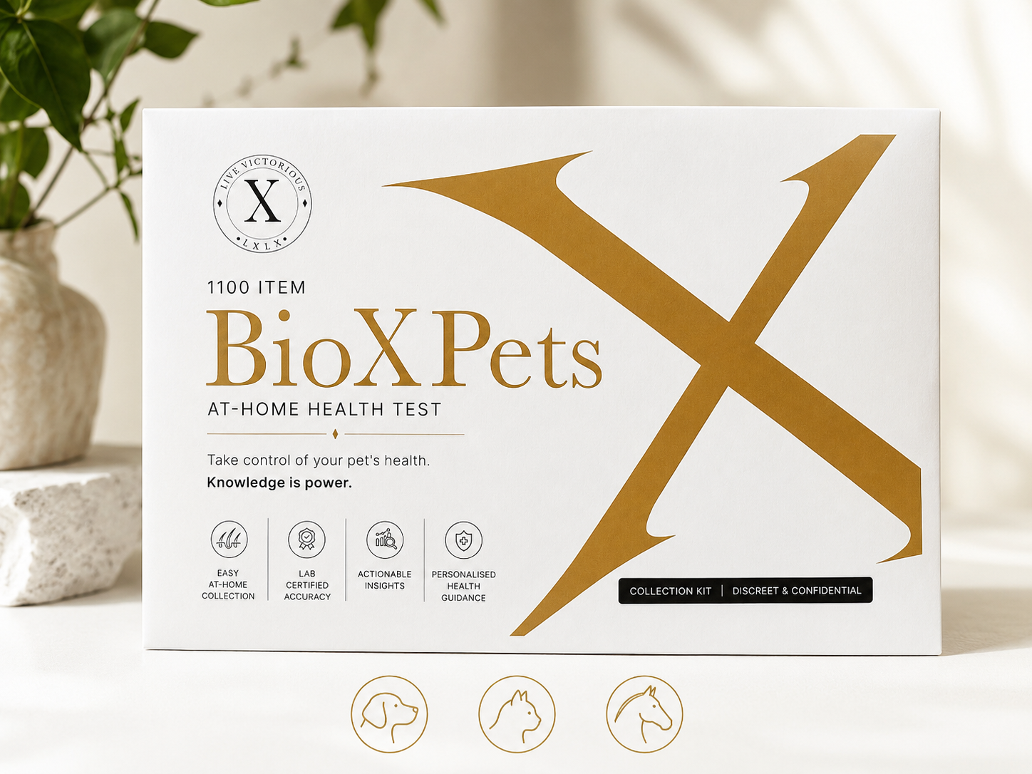 BioX Pet